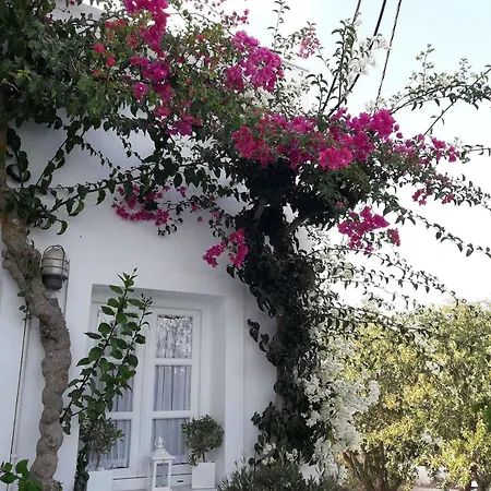Hotel Casa Bianca